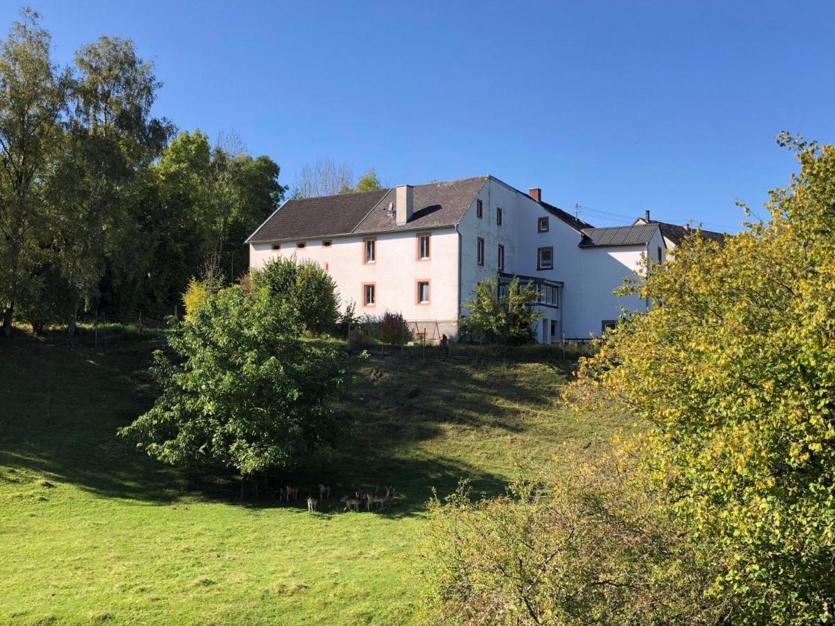 Ferienhaus Rehblick Rockeskyll Kültér fotó