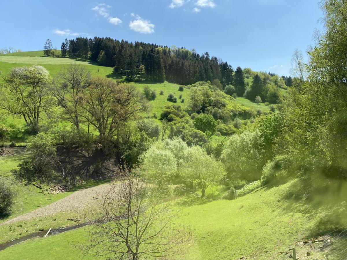 Ferienhaus Rehblick Rockeskyll Kültér fotó